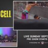The_Usos_and_The_New_Day_watch_their_Hell_in_a_Cell_war_WWE_Playback_mp40249.jpg