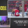 The_Usos_and_The_New_Day_watch_their_Hell_in_a_Cell_war_WWE_Playback_mp40685.jpg